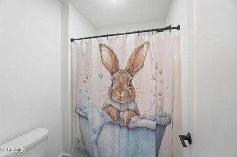 Tiny photo for 17 Hawthorne Crossing, Perrysburg, OH 43551 (MLS # 10005747)