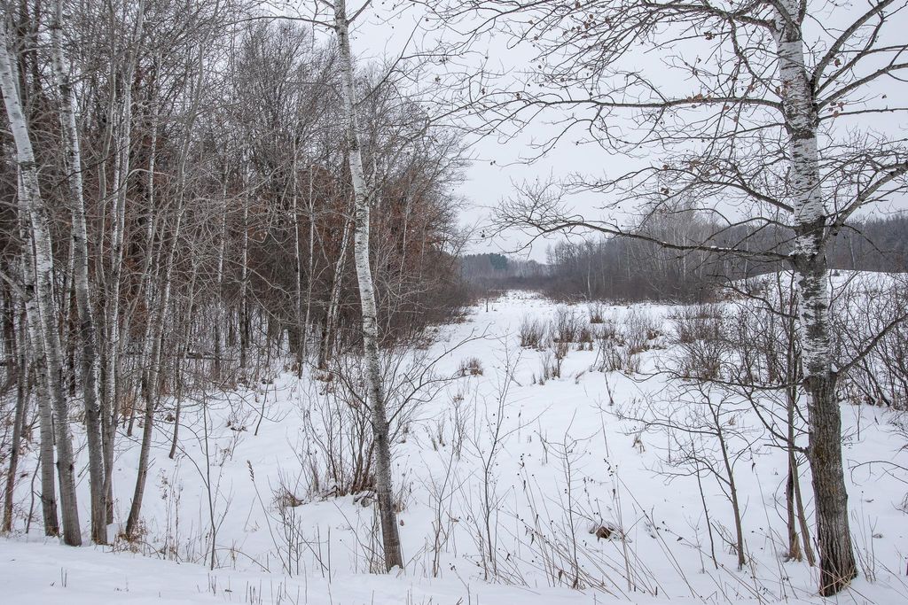 Photo of TBD Spring Lake Road NE, North Branch, MN 55056 (MLS # 6820477)