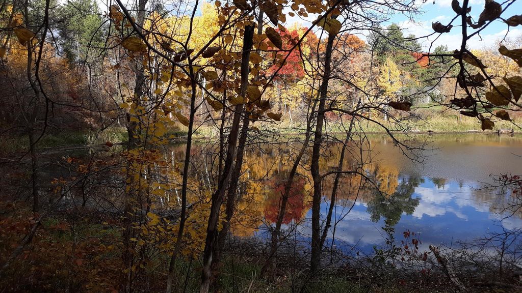 Photo of TBD Oriole Court, Browerville, MN 56438 (MLS # 7019655)