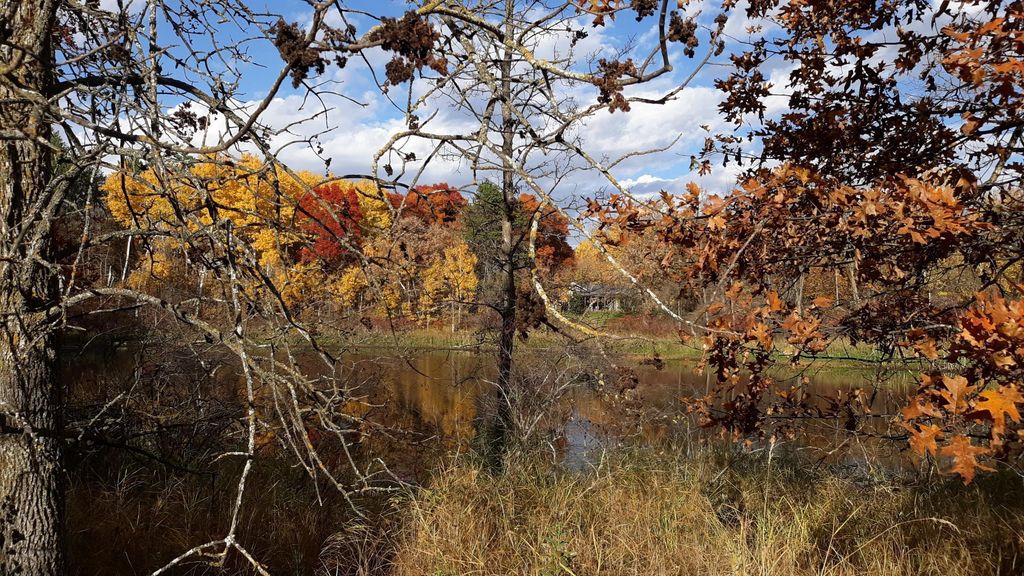 Photo of TBD Oriole Court, Browerville, MN 56438 (MLS # 7019655)