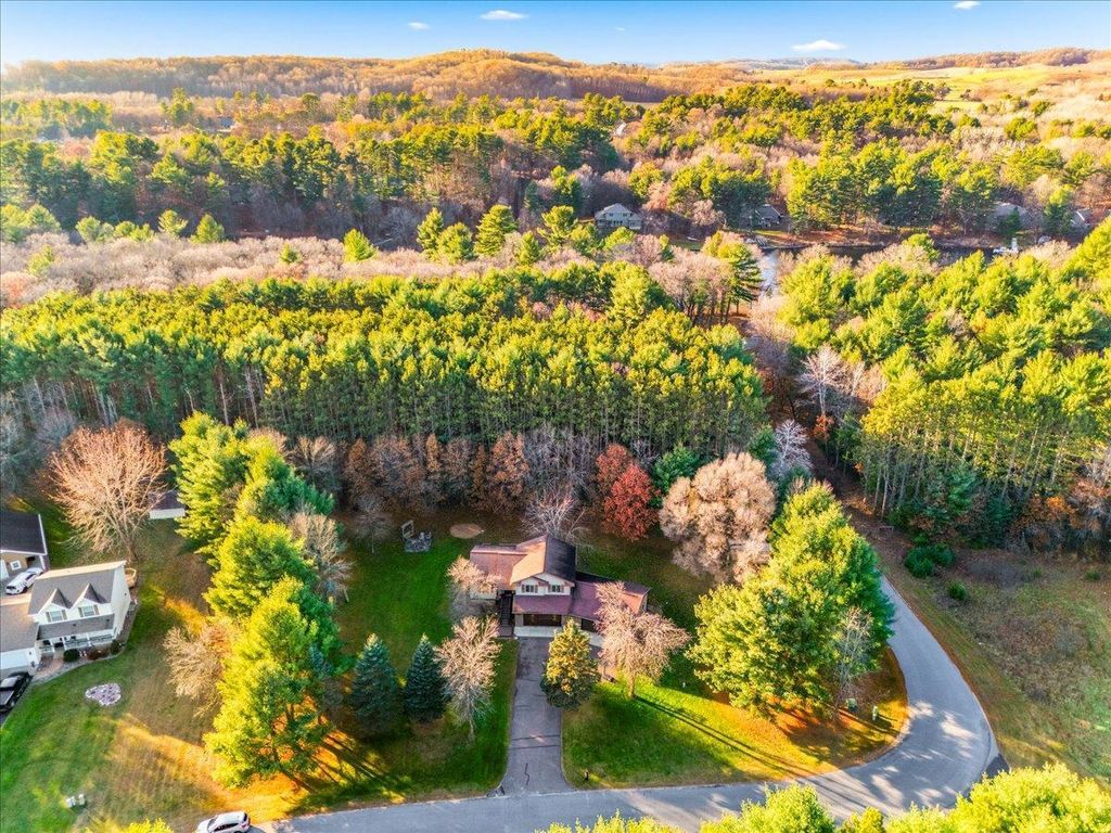 Photo of 6851 N 550th Street, Red Cedar Twp, WI 54751 (MLS # 6819326)