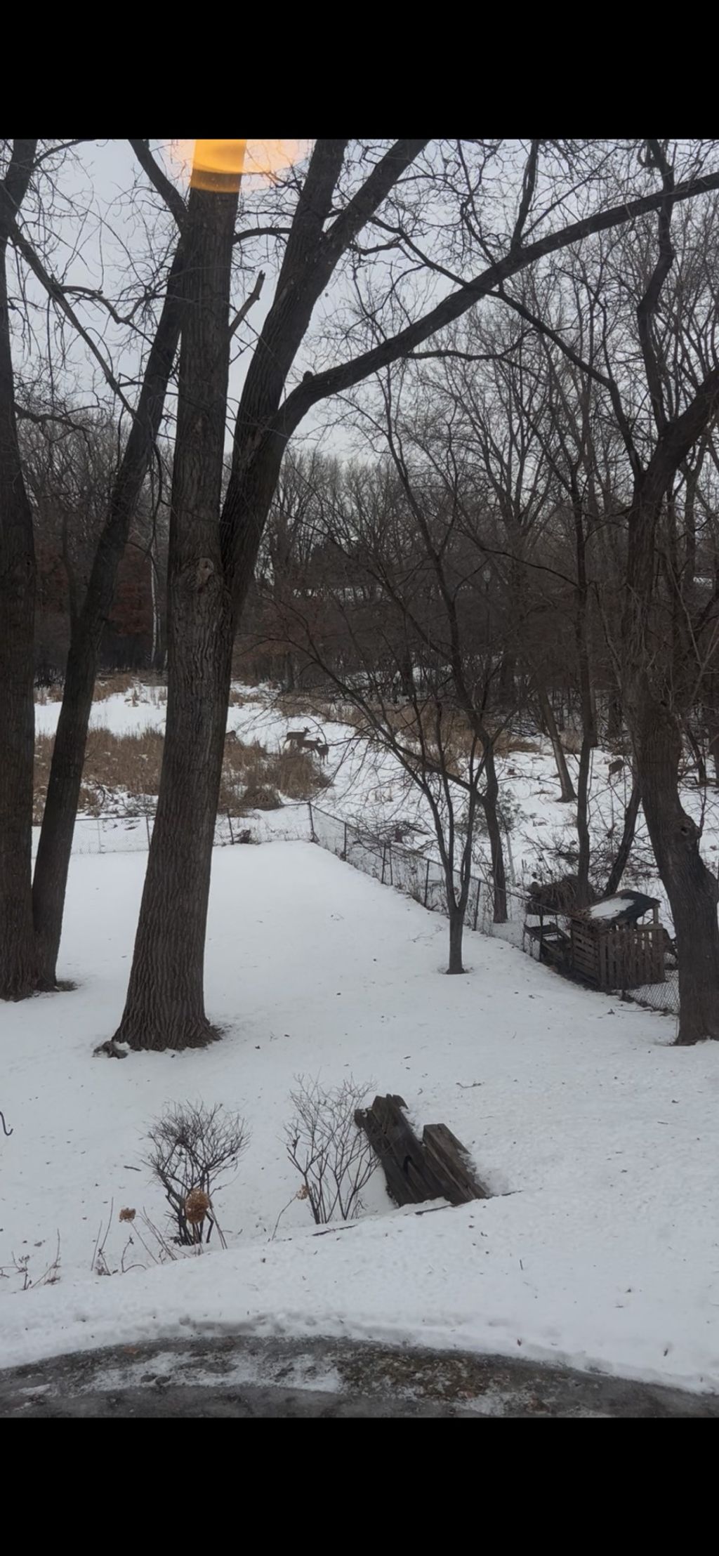 Photo of 281 Woodridge Drive, Vadnais Heights, MN 55127 (MLS # 7039627)