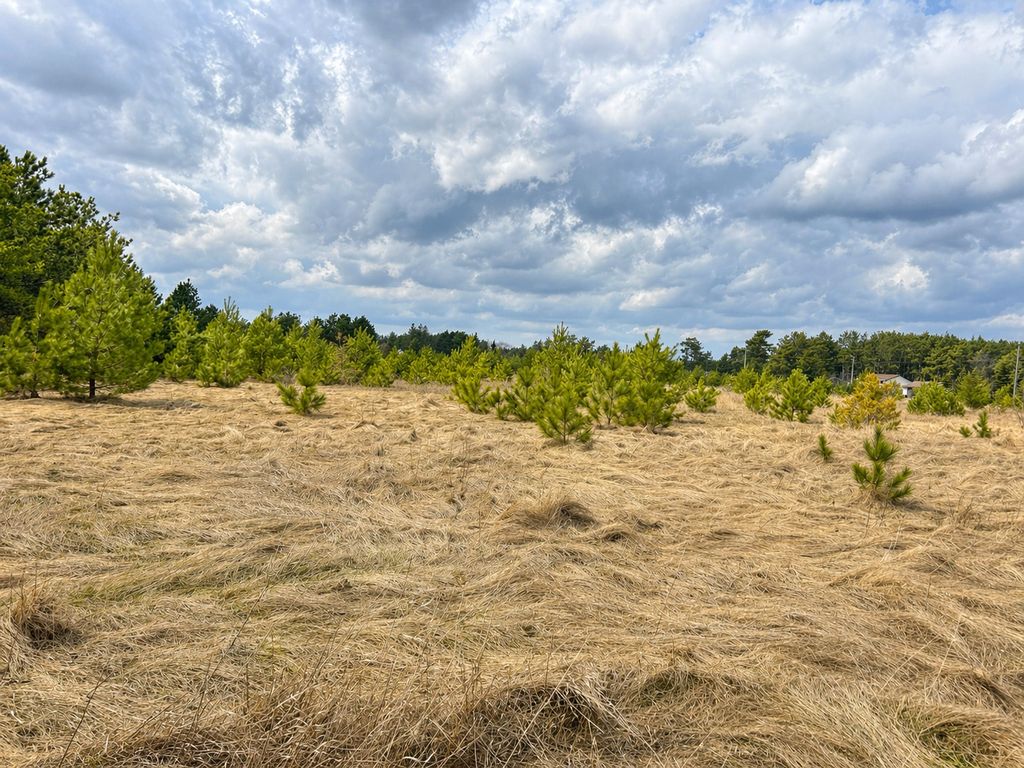 Photo of TBD 8th Street W, Park Rapids, MN 56470 (MLS # 7061000)