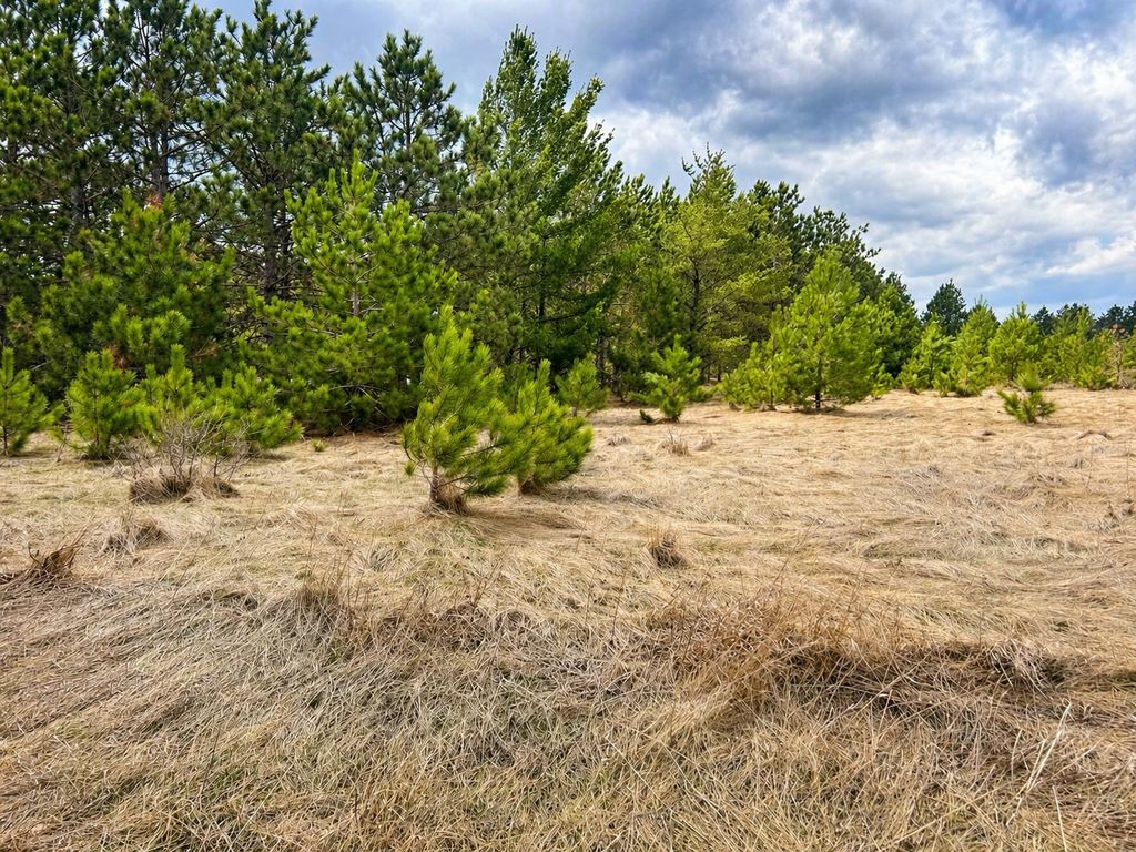 Photo of TBD 8th Street W, Park Rapids, MN 56470 (MLS # 7061000)