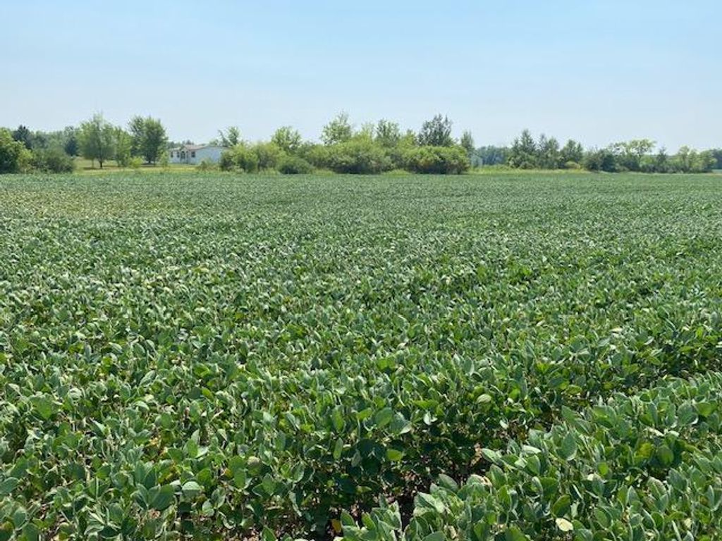 Photo of TBD 160th St., Foreston, MN 56330 (MLS # 7007331)