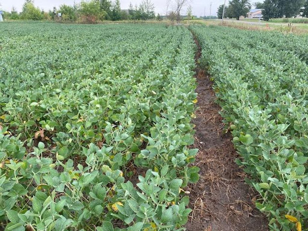 Photo of TBD 160th St., Foreston, MN 56330 (MLS # 7007331)