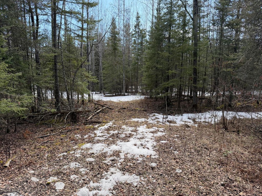Photo of 96xx Gappa Road, Kabetogama, MN 56669 (MLS # 7063643)