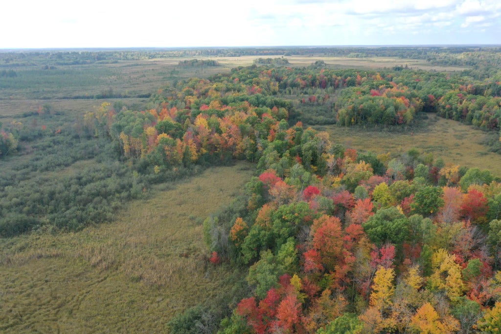 Photo of 0 Klarquist Road, Lincoln Twp, WI 54840 (MLS # 7153280)