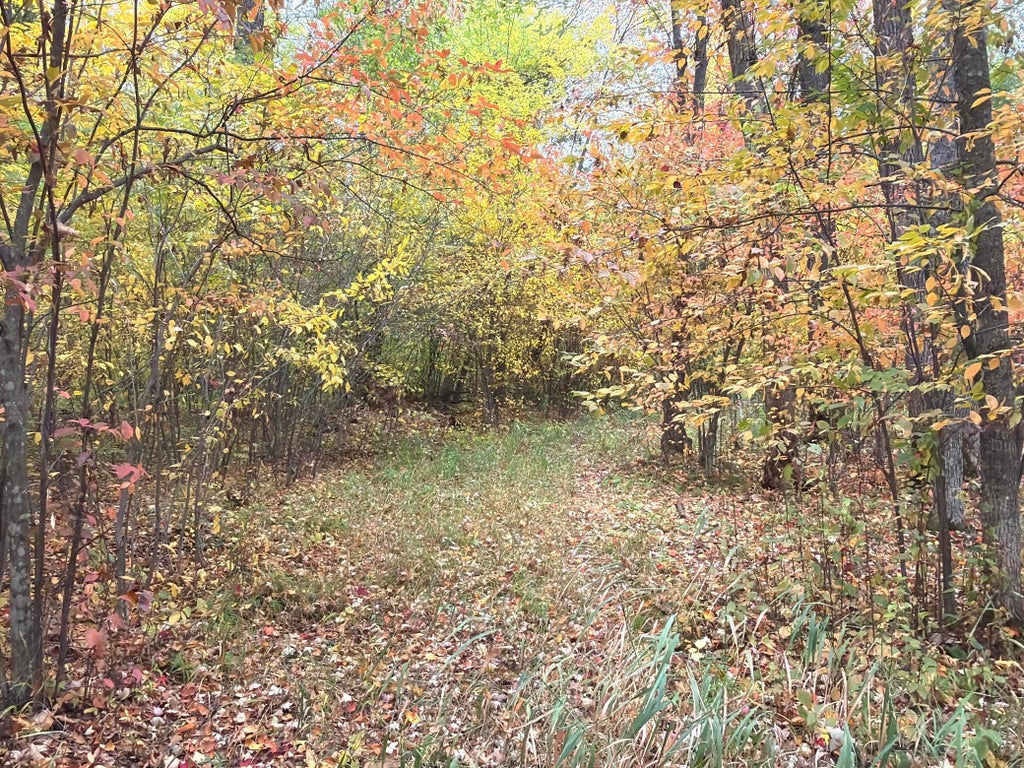 Photo of 0 Klarquist Road, Lincoln Twp, WI 54840 (MLS # 7153280)