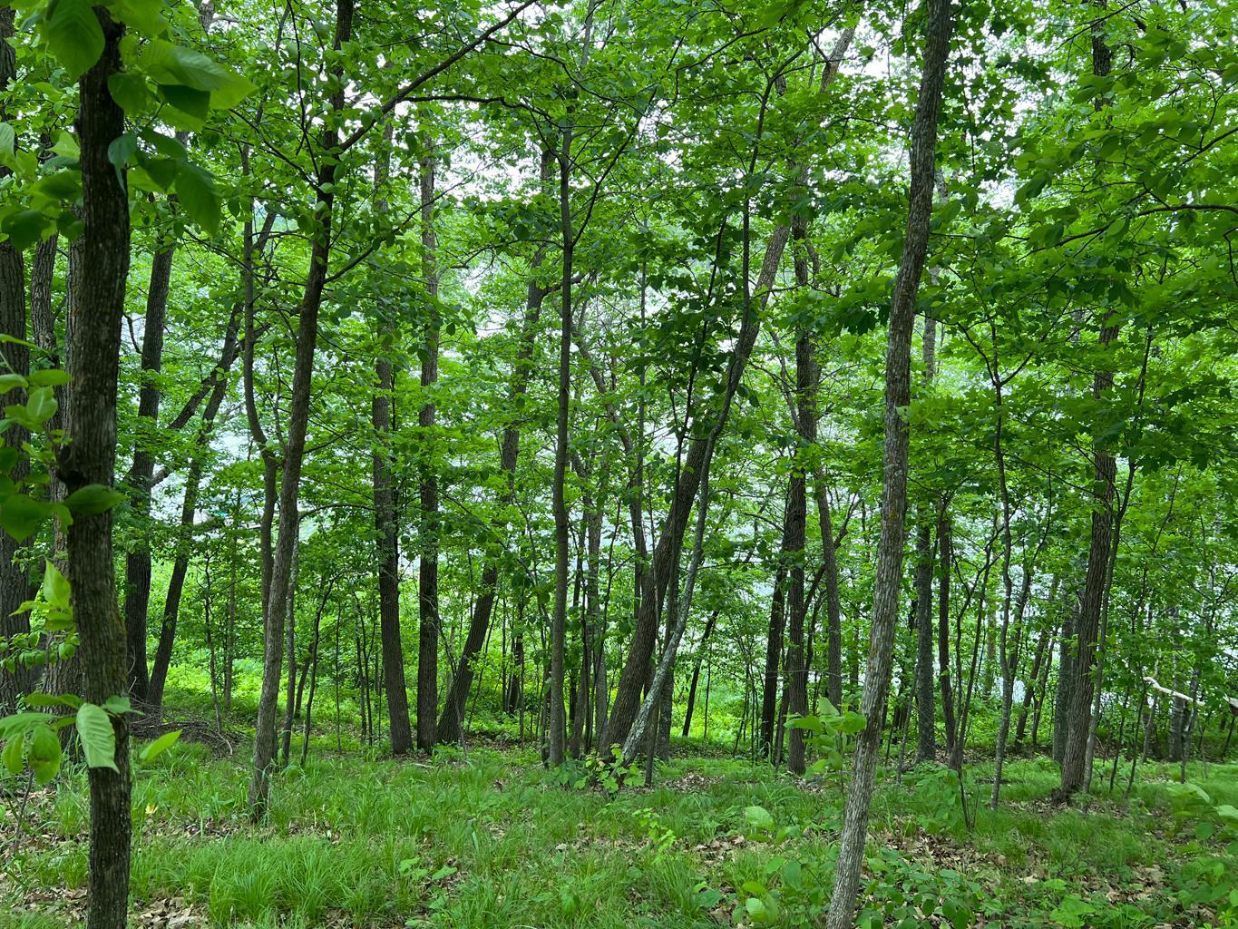 5585 Woods Bay Drive NE