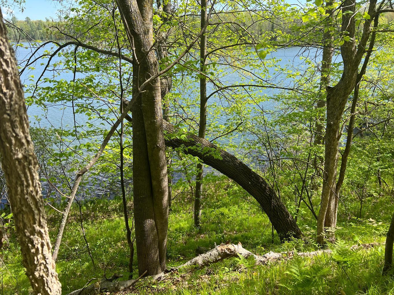 5585 Woods Bay Drive NE