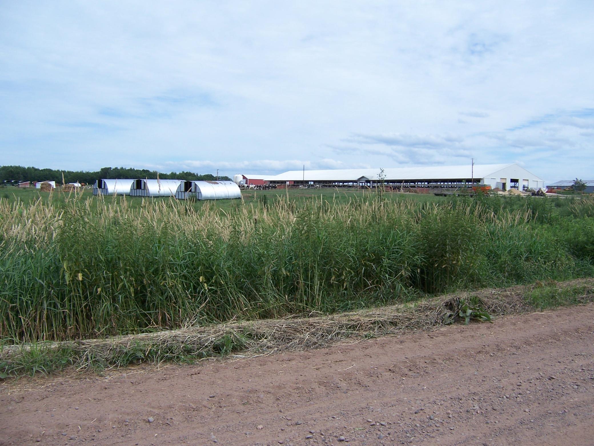 54479 Fairfield Avenue