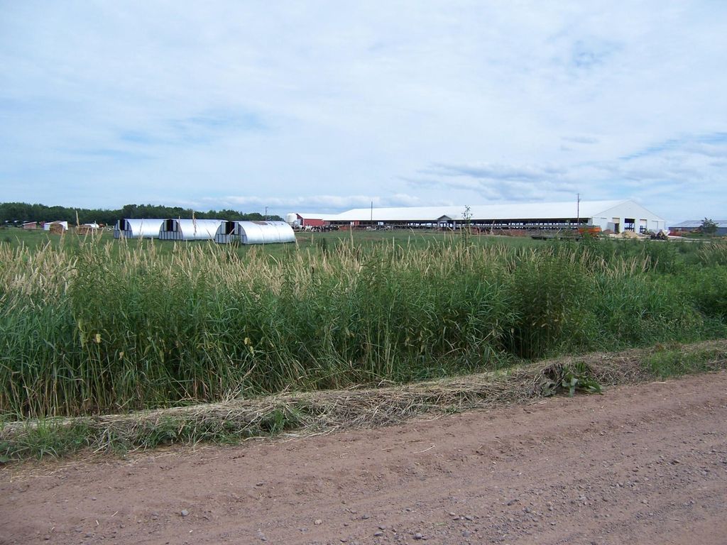 Photo of 54479 Fairfield Avenue, Rush City, MN 55069 (MLS # 7016515)