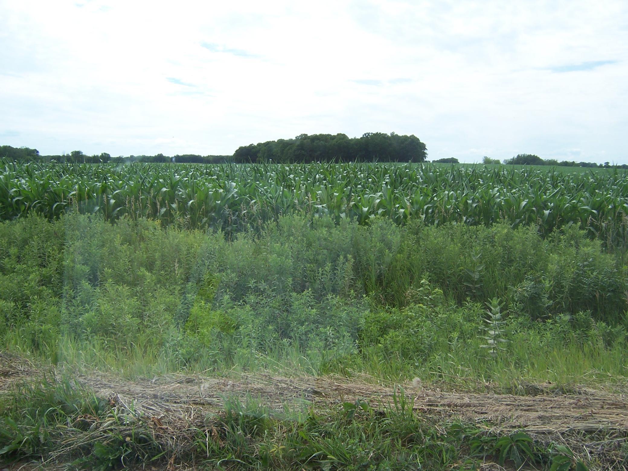 54479 Fairfield Avenue