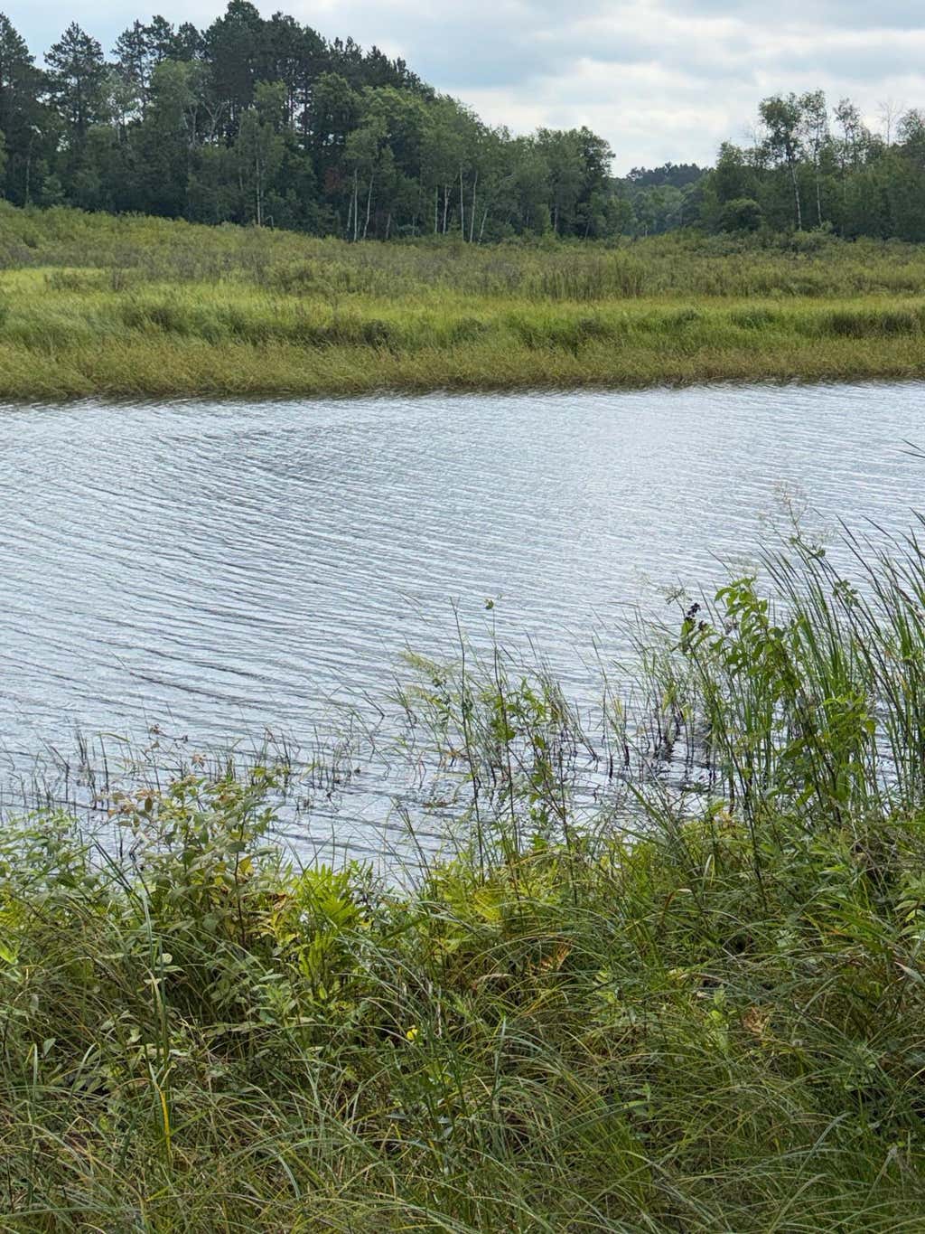 Photo of 51880 182nd Place, McGregor, MN 55760 (MLS # 7133382)
