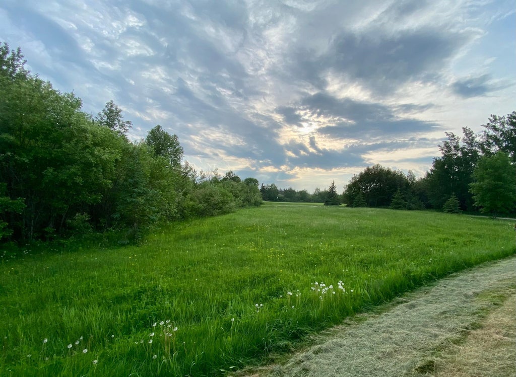 Photo of TBD Dogwood Drive, Warroad, MN 56763 (MLS # 7145674)
