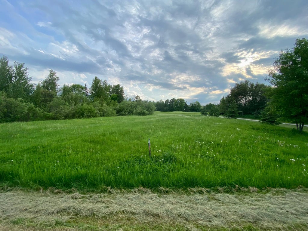 Photo of TBD Dogwood Drive, Warroad, MN 56763 (MLS # 7145674)