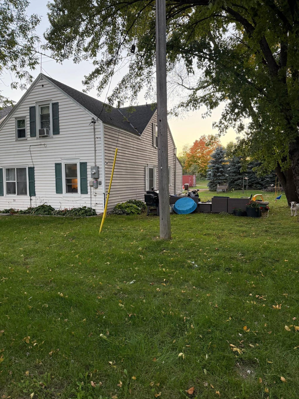 Photo of 511 Ellsworth Avenue, South Haven, MN 55382 (MLS # 7155859)