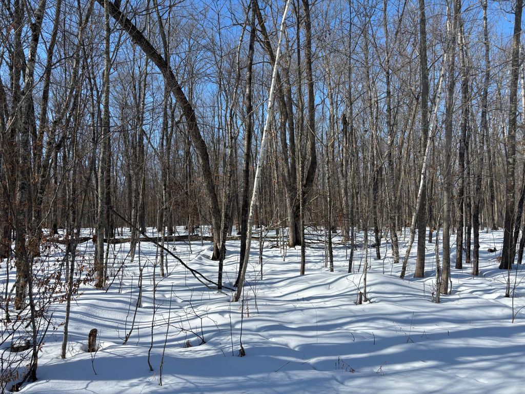 Photo of TBD 235th Place, McGregor, MN 55760 (MLS # 7027589)