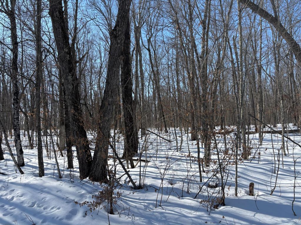 Photo of TBD 235th Place, McGregor, MN 55760 (MLS # 7027589)