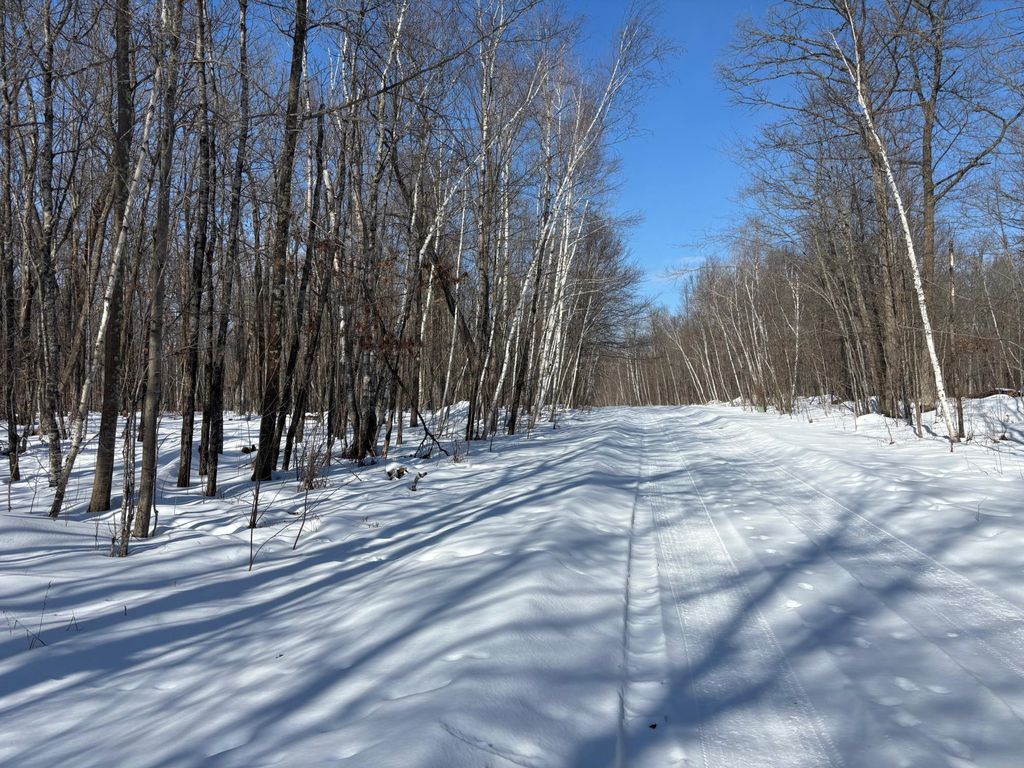 Photo of TBD 235th Place, McGregor, MN 55760 (MLS # 7027589)