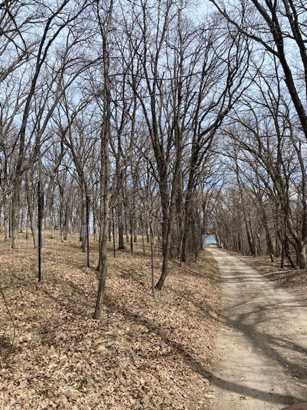 Photo of 50378 Anderson Beach Trail Trl, Pelican Rapids, MN 56572 (MLS # 7046684)