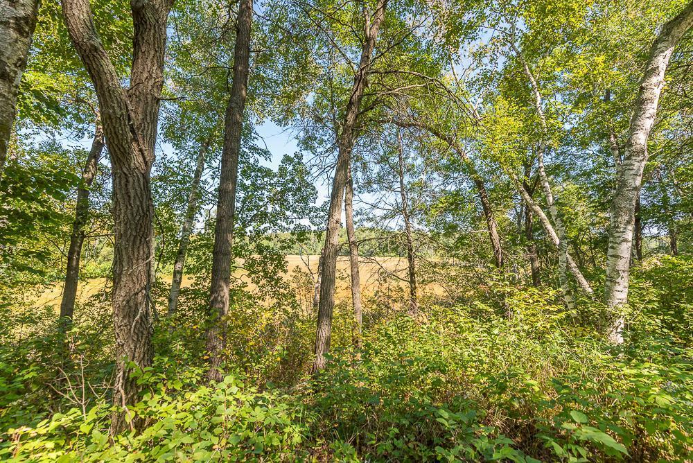 Tract C TBD Little Pine Road