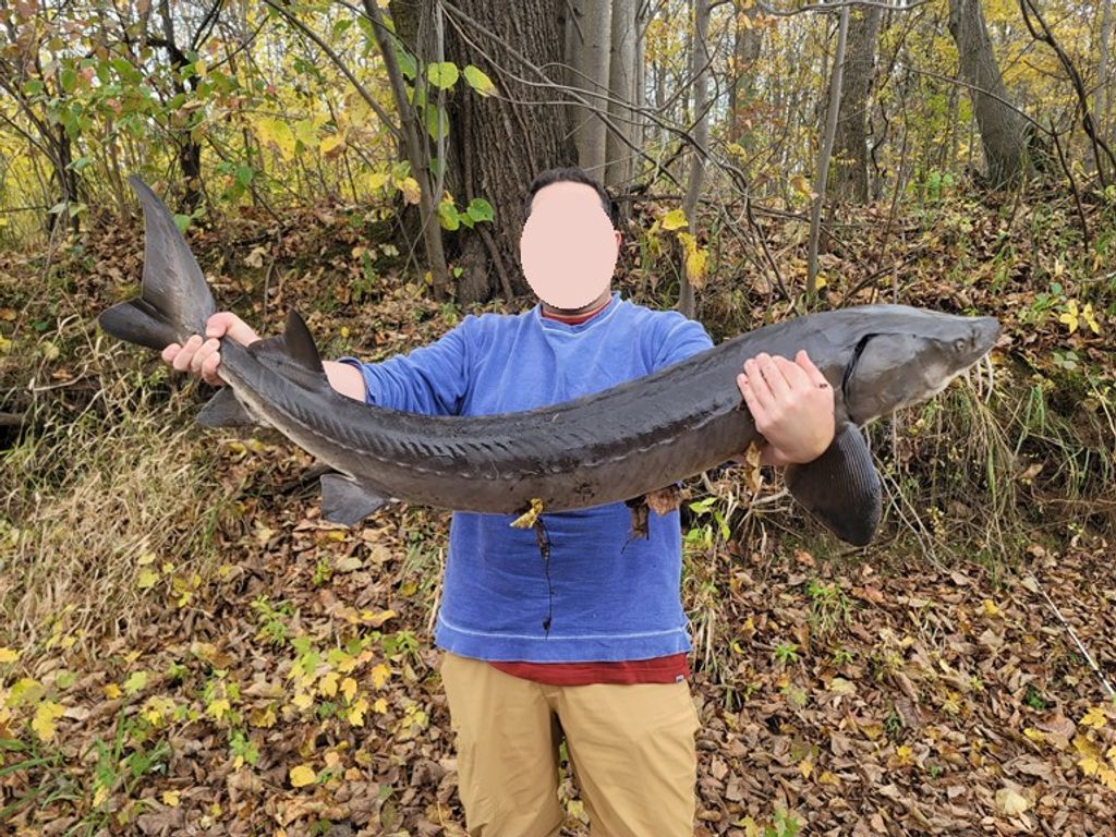 Photo of 15xxx Lofty Pines Road, Pine City, MN 55063 (MLS # 6821517)