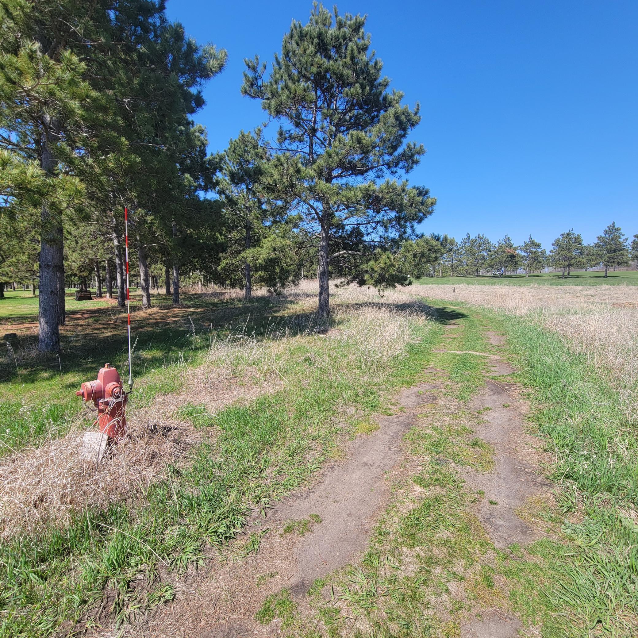 510 Thumper Lodge Road