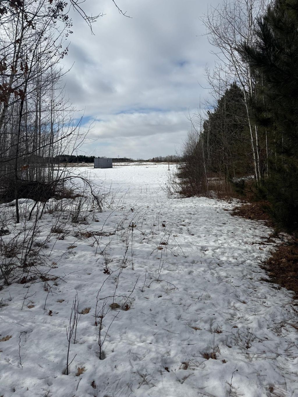 Photo of 15131 Brunswick Road, Pine City, MN 55063 (MLS # 7024778)