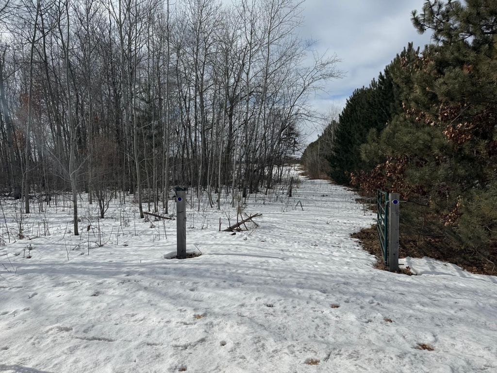 Photo of 15131 Brunswick Road, Pine City, MN 55063 (MLS # 7024778)