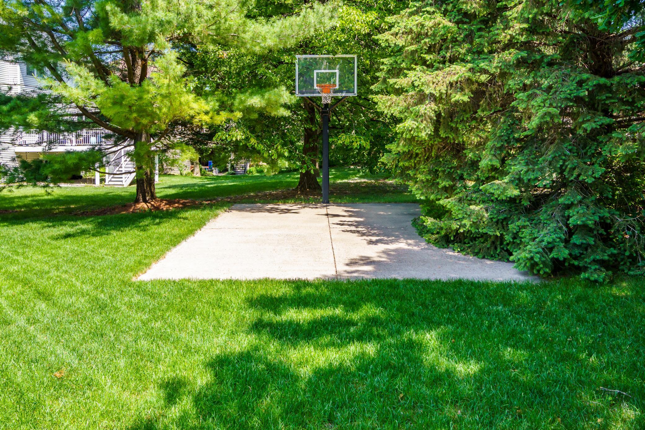 4304 Gadwall Court