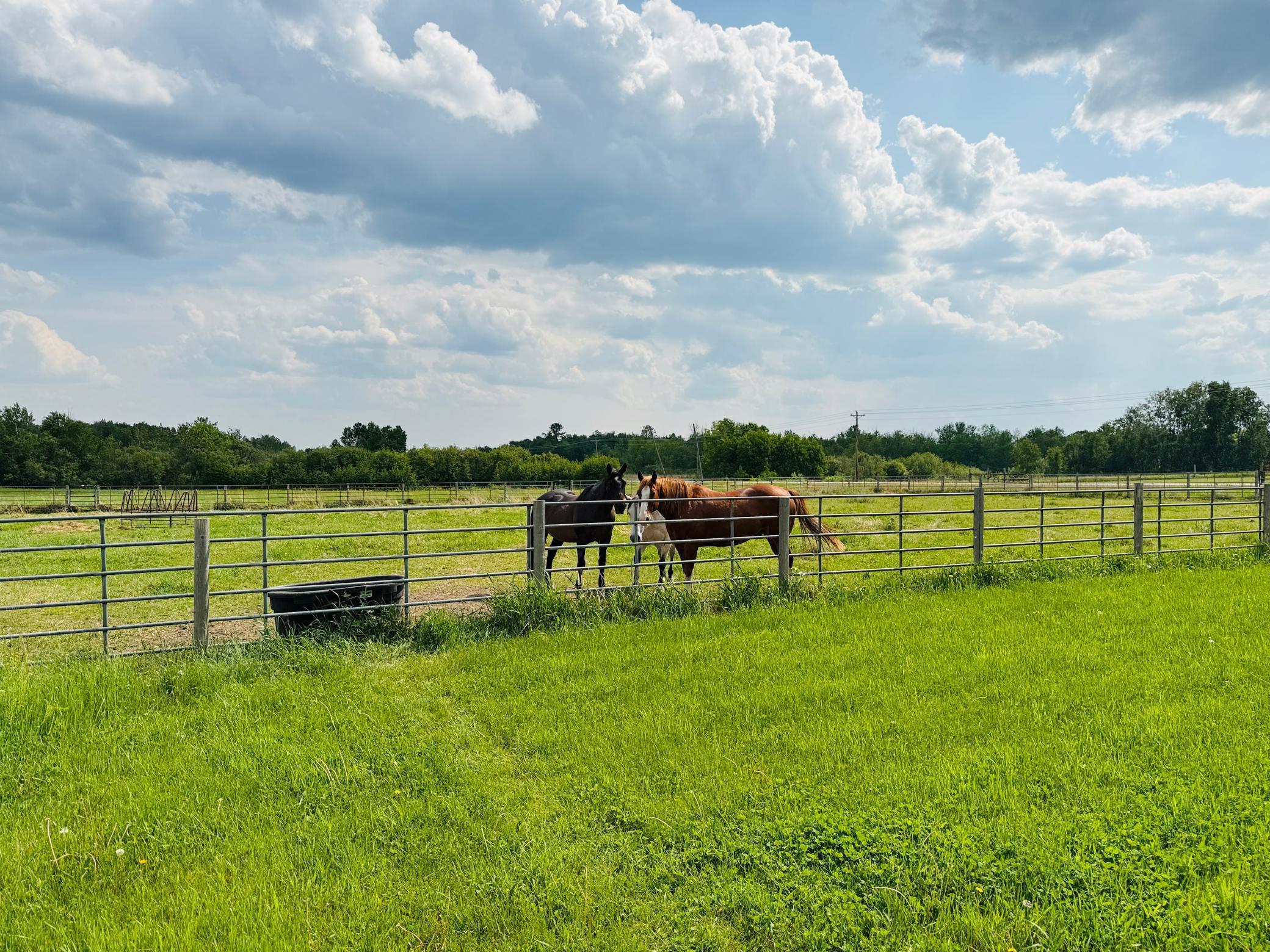 6070 County Road 1 SW