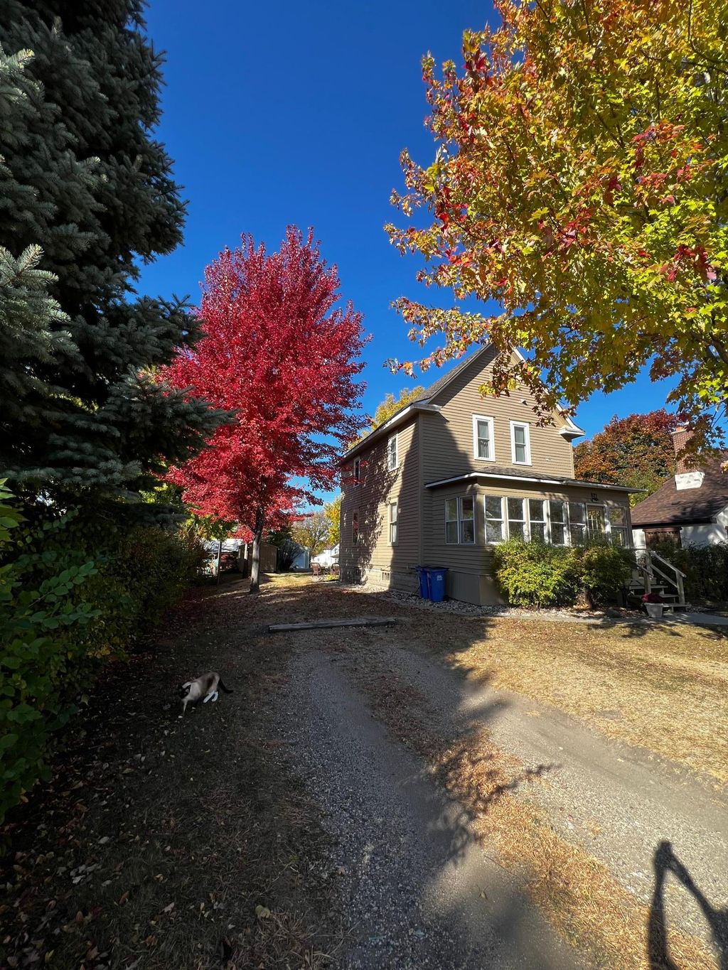 Photo of 821 3rd Avenue, Madison, MN 56256 (MLS # 6740278)