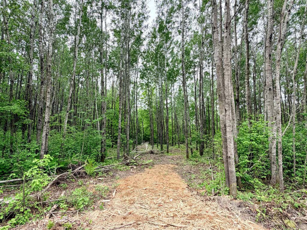 Photo of TBD Half Moon Rd, Park Rapids, MN 56470 (MLS # 7085212)