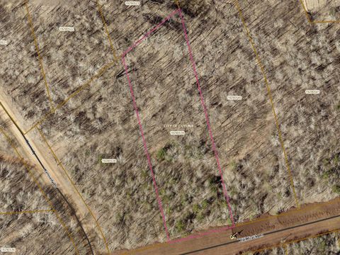 TBD 1.61 Acres Tail Track Lane Cuyuna MN 56444