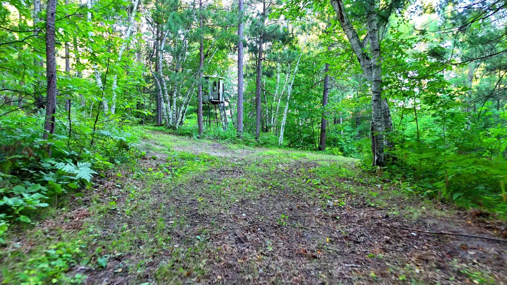 TBD Niemi Drive