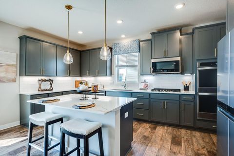 1483 Sophia Drive Chaska MN 55318