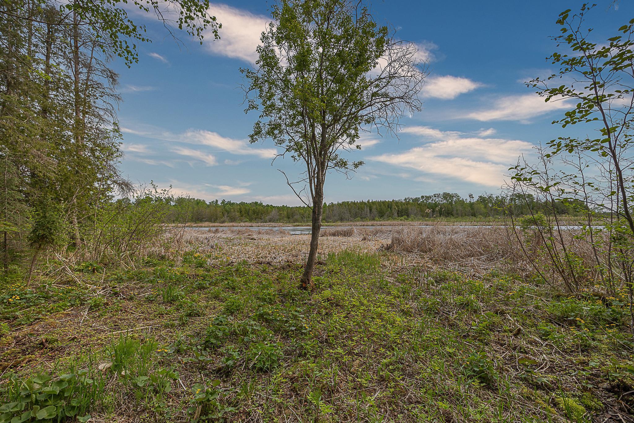 1756 County Road 7 NE