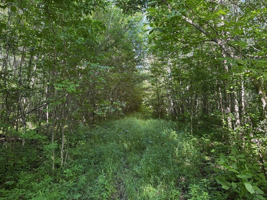 ADDRESS PRIVATE, NORTHOME, MN 56661 - Image 055fbeab3d2fee57d6fbca1b6dfeb2bb/234426124