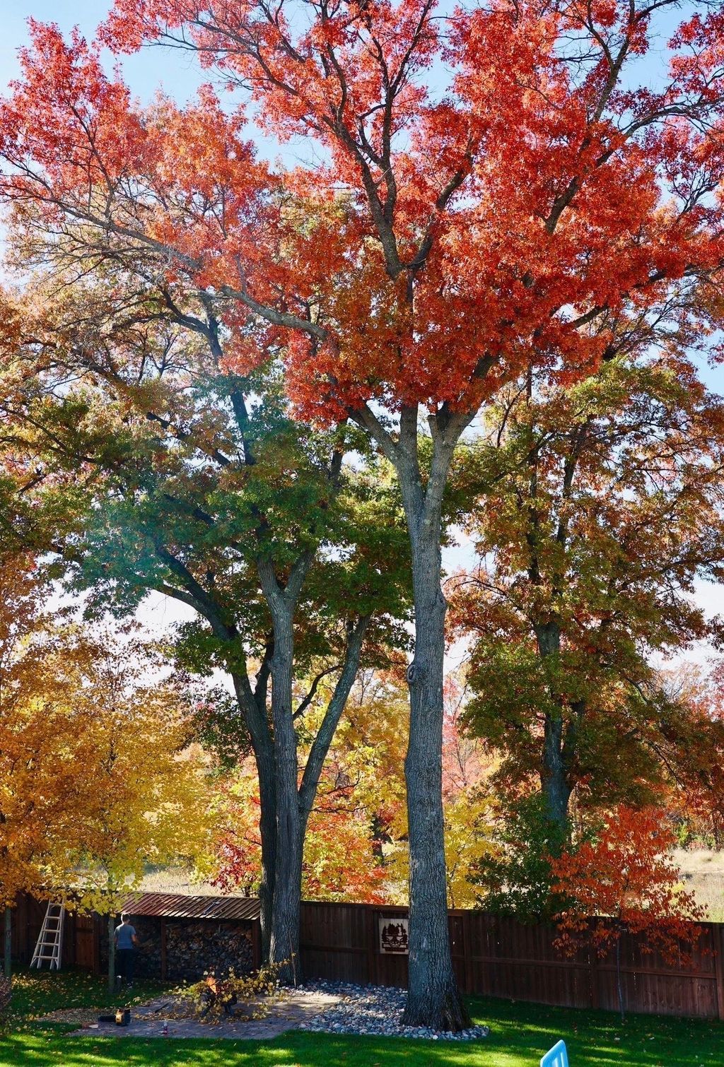 Photo of 16610 Xeon Street NW, Andover, MN 55304 (MLS # 7031704)