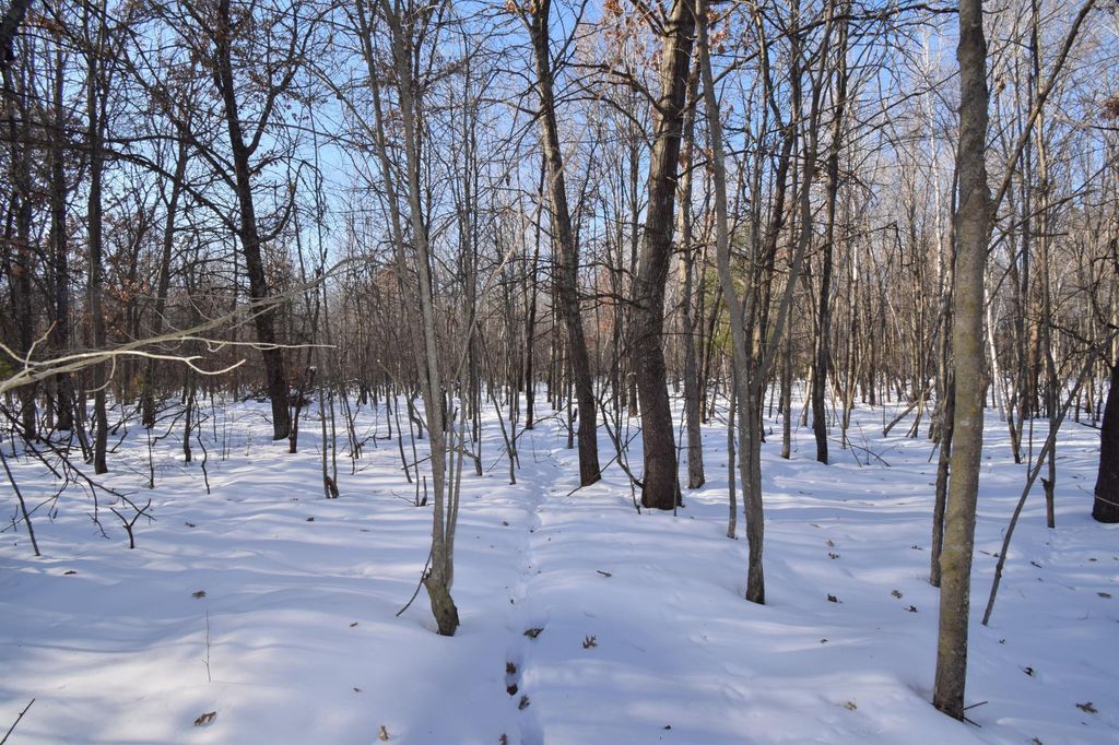 Photo of Lots 1-4 Clam Lake Drive, Siren, WI 54872 (MLS # 7015770)