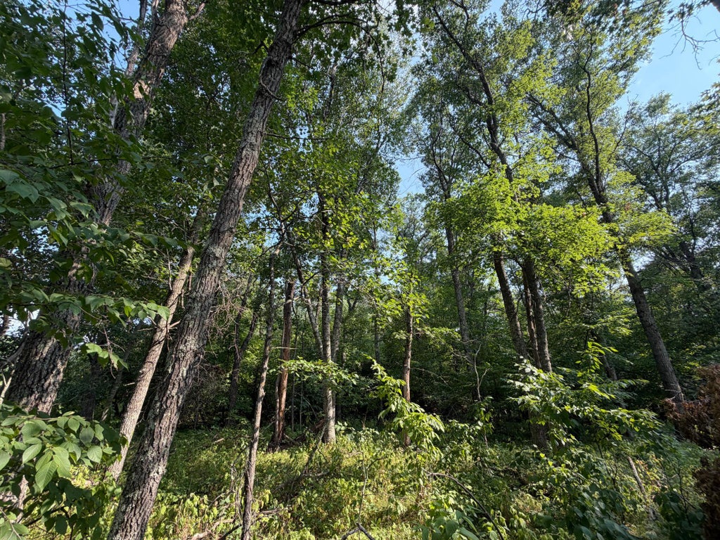 Photo of TBD Pawnee Circle, Breezy Point, MN 56472 (MLS # 7115519)
