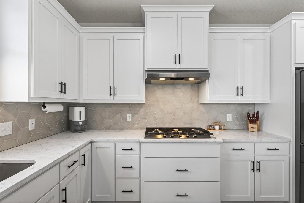 Photo of 6352 Red Cedar Drive, Chaska, MN 55318 (MLS # 7041413)