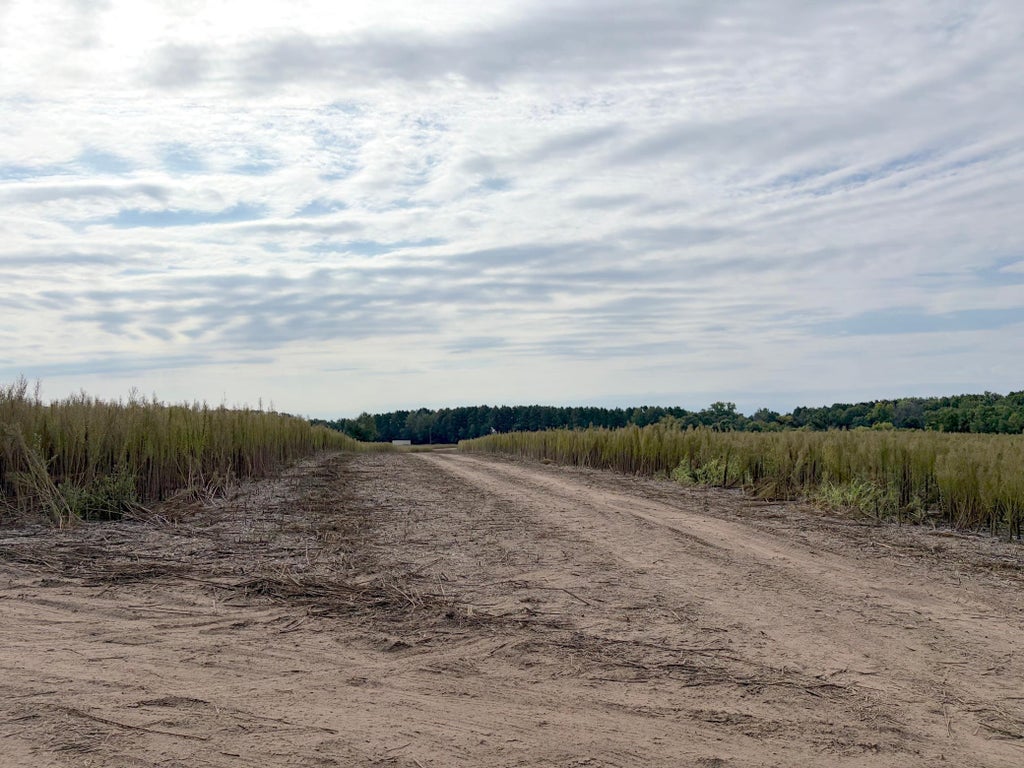 Photo of TBD (L5-SM East) Yellowpine Court NW, Isanti, MN 55040 (MLS # 7150370)