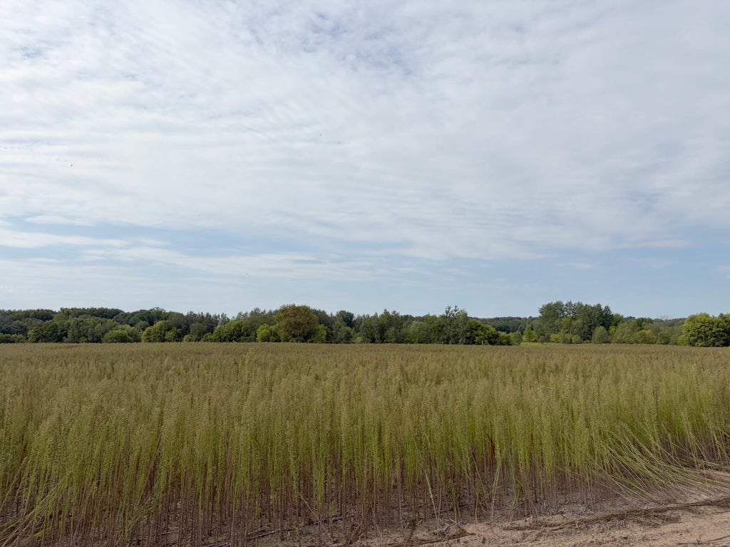 Photo of TBD (L5-SM East) Yellowpine Court NW, Isanti, MN 55040 (MLS # 7150370)