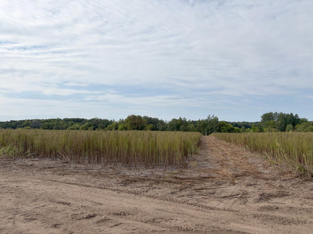 Photo of TBD (L5-SM East) Yellowpine Court NW, Isanti, MN 55040 (MLS # 7150370)