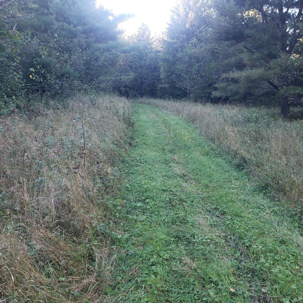 Photo of TBD Gamma rd, Kabetogama, MN 56669 (MLS # 7015526)