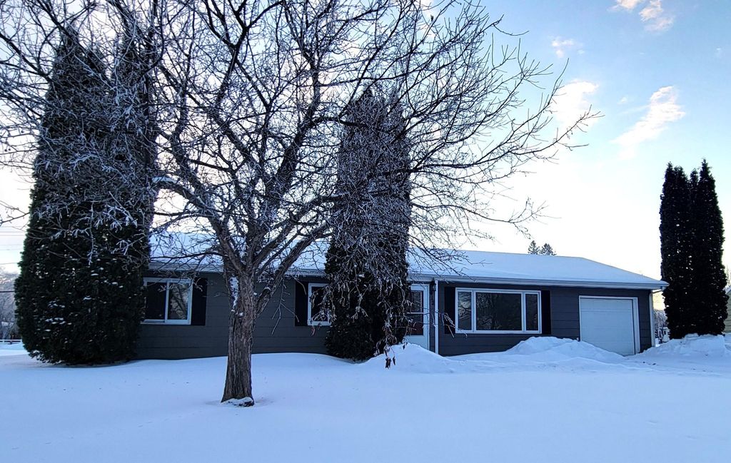 Photo of 412 E Hamilton Avenue, Baudette, MN 56623 (MLS # 7005939)