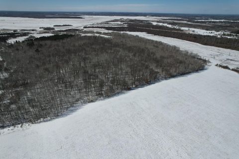 TBD County Road 14 Sebeka MN 56477